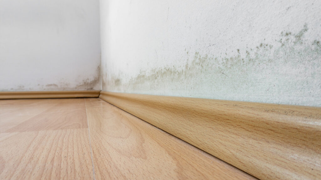 revestimento de madeira em parede mofada pela umidade.