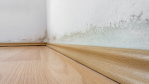 revestimento de madeira em parede mofada pela umidade.